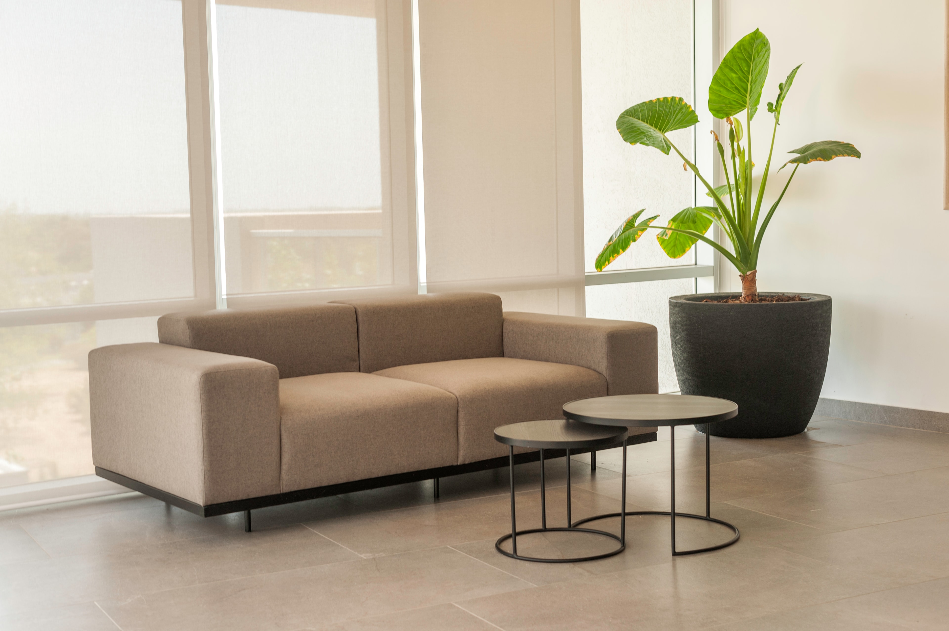 Inversión con Alta Renta: Portfolio de 4 Studios Premium - Imagen 200